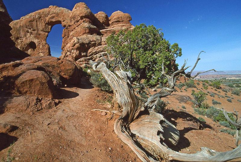 1996-04 Utah Trip 90 Delicate Arch Hike.jpg